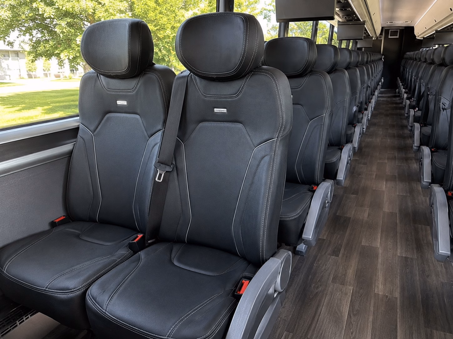 buses to charmed vineyards and the swansea wine country